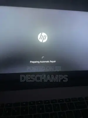 Preparing Automatic Repair Screen Problem
