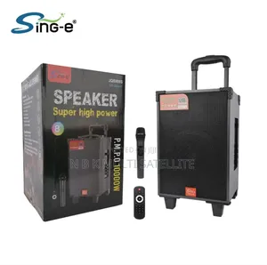 Portable High Power Bluetooth Subwoofer With 1 Microphone