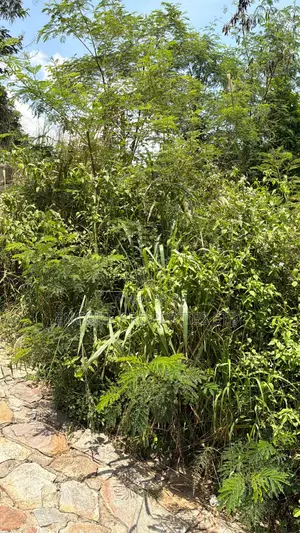 2 Acres of Titled Land