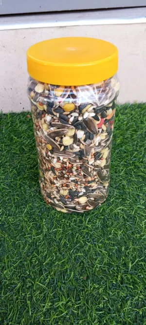 Seeds for Parrot