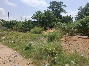 One Full Plot of Land for Sale in Atasomanso