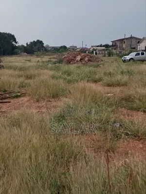 Suitable Tdc Demarcated Lands Comm12 By The Adonia Main Road Side