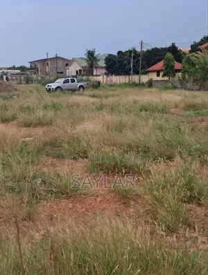 Suitable Tdc Demarcated Lands Comm12 By The Adonia Main Road Side