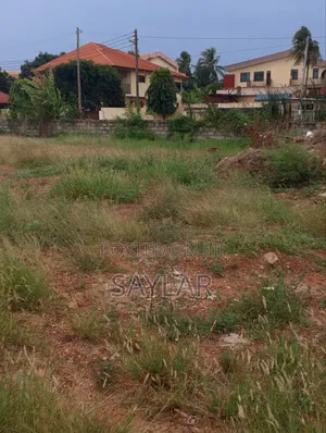 Suitable Tdc Demarcated Lands Comm12 By The Adonia Main Road Side