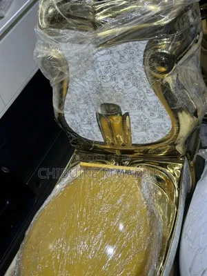 Gold Toilet Seat and Basin