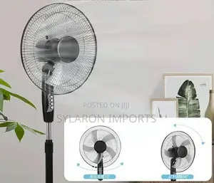 Electric Standing Fan