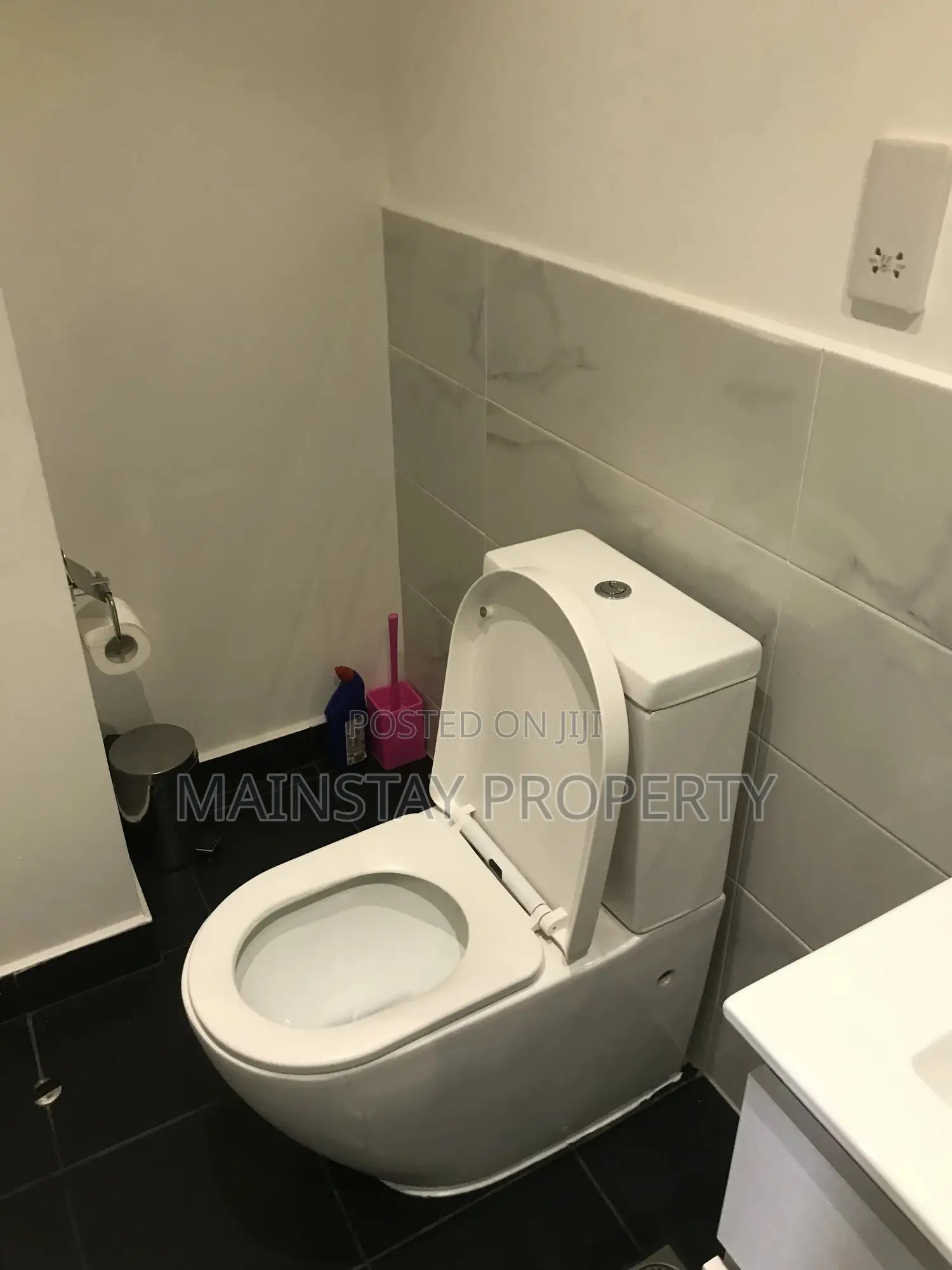 Furnished 1bdrm Apartment in Embassy Garden, Cantonments for rent