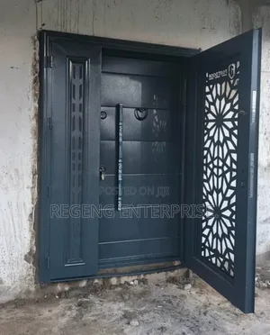 Full Metal Door in Door Luxury and Security