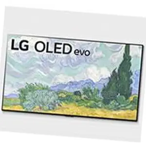 Best LG 65 Inch Oled Gallery Design HDR Thinq Smart Tv-Oled65G1Pva