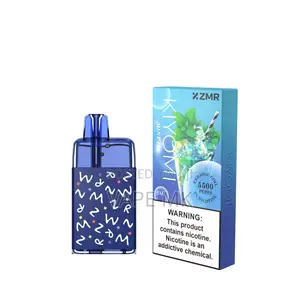 ZMR-Kiyomi Vape,Disposable,10 Icy Flavors, Instant Chill Chargable