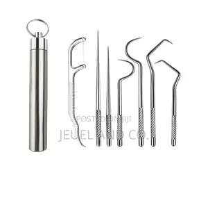 Portable Stainless Steel Pocket Toothpick Kit With Reusable Floss
