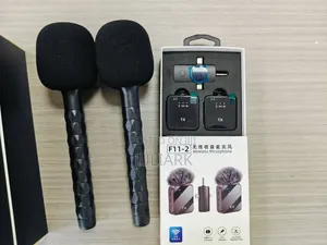 Wireless Microphone With Microphone Stand