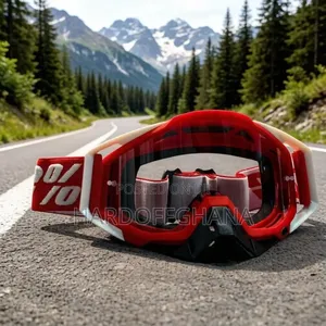 Nibbis Racing Googles