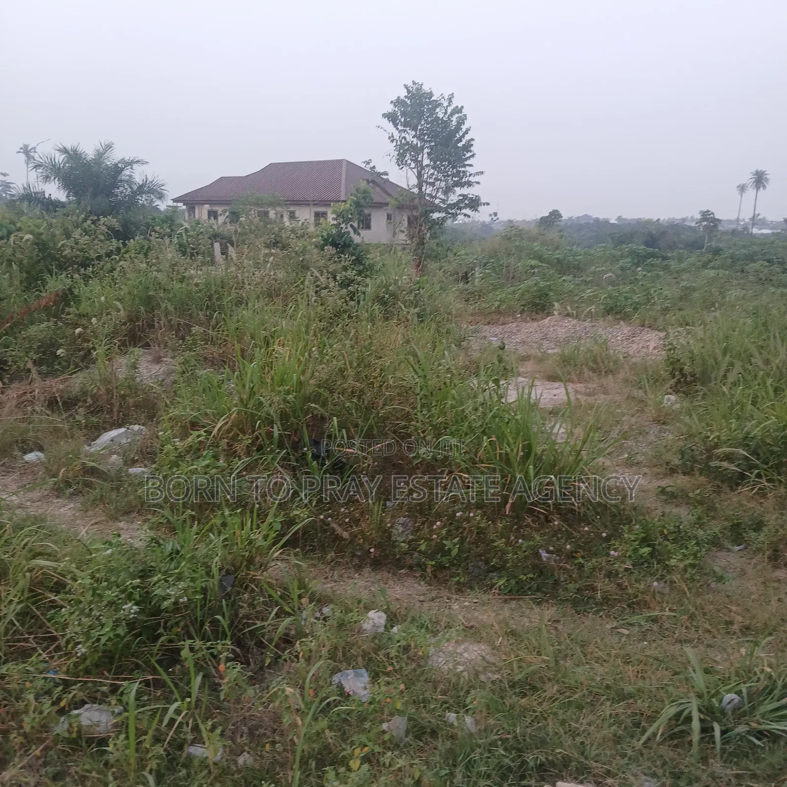 40 × 90 Half Plot of Land for Sale