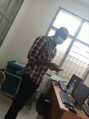Data Analyst