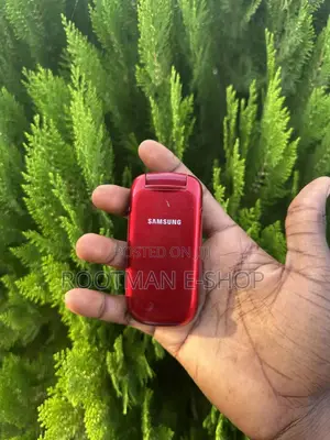 Samsung GT-E1080 Red