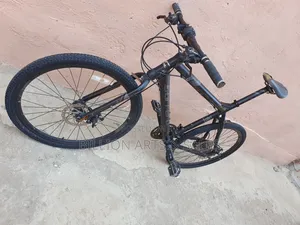Carerra Mountain Bike