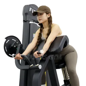Triceps/Biceps Curl Machine (Commercial)