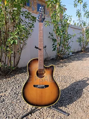 Rumbler by Morris Mr- Semi Acoustic Guitar