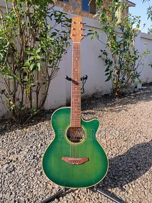 Barclay Sc- 300 Semi Acoustic Guitar
