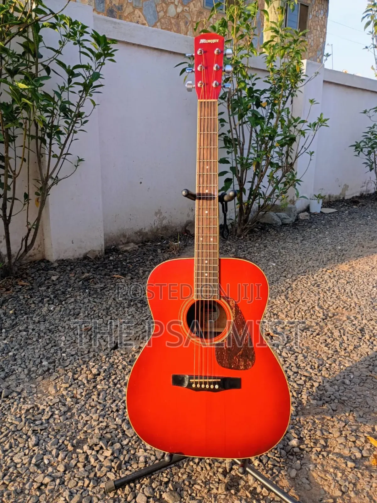 Morris F- 02rs Acoustic Guitar