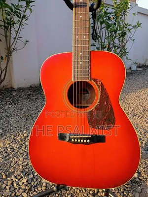 Morris F- 02rs Acoustic Guitar