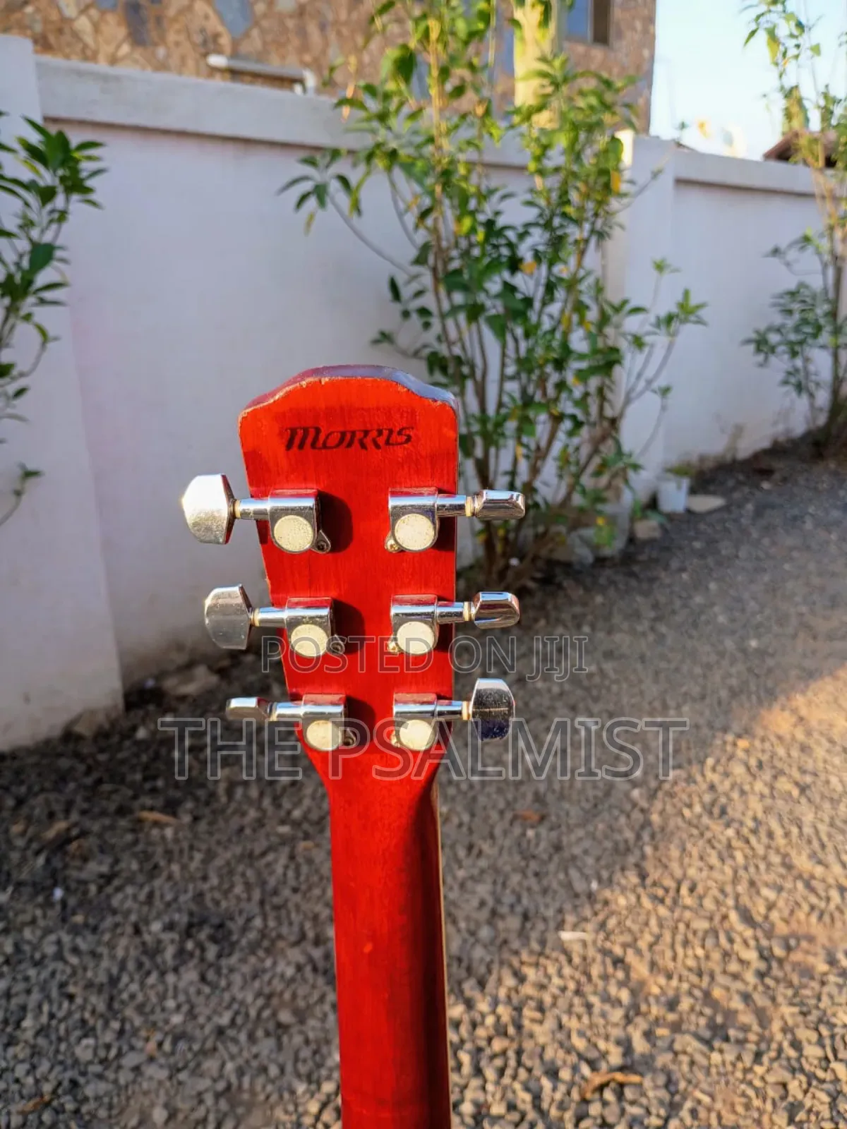 Morris F- 02rs Acoustic Guitar
