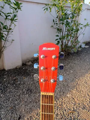 Morris F- 02rs Acoustic Guitar