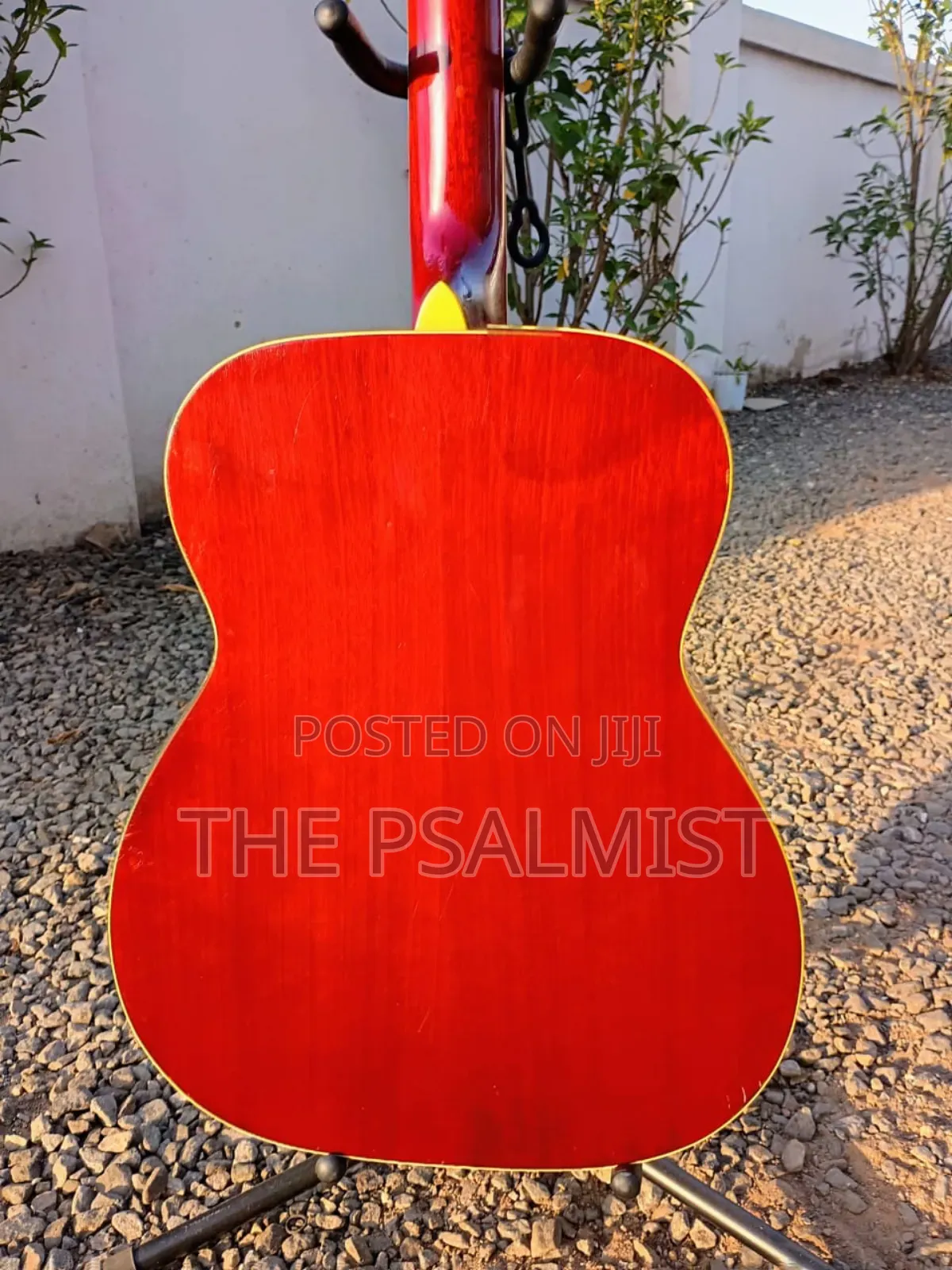Morris F- 02rs Acoustic Guitar