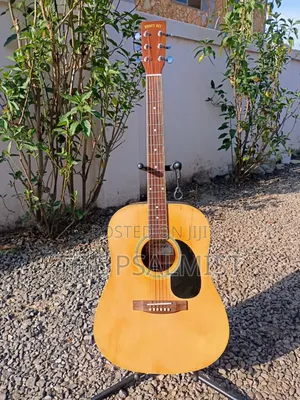 Honey Bee W/15n Acoustic Guitar