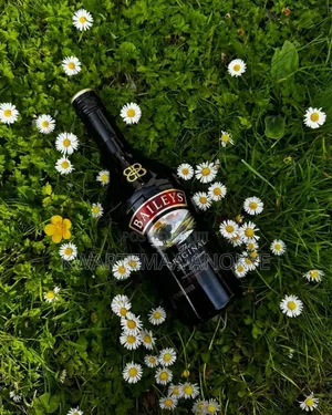 Baileys Enjoy