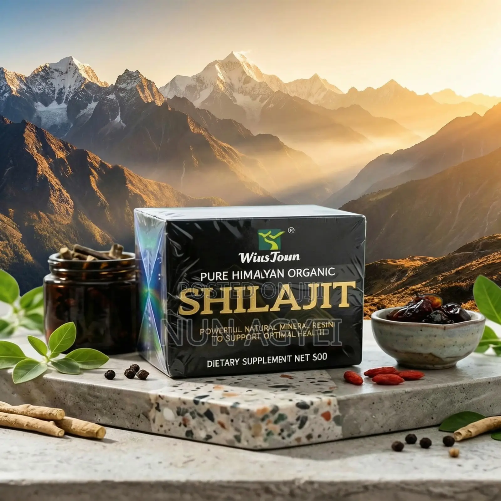 Wins Town Shilajit