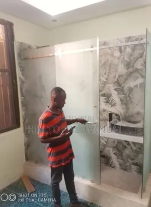 Framelez Shower Door Glass