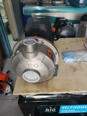 Leo 2hp Hot And Cold Water Pump
