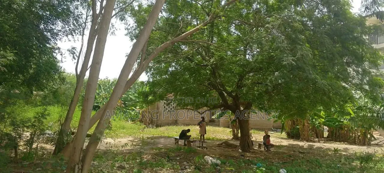 1 1⁄2 Plots (100ft/100ft) of Land With an Old Building at Dzorwulu.