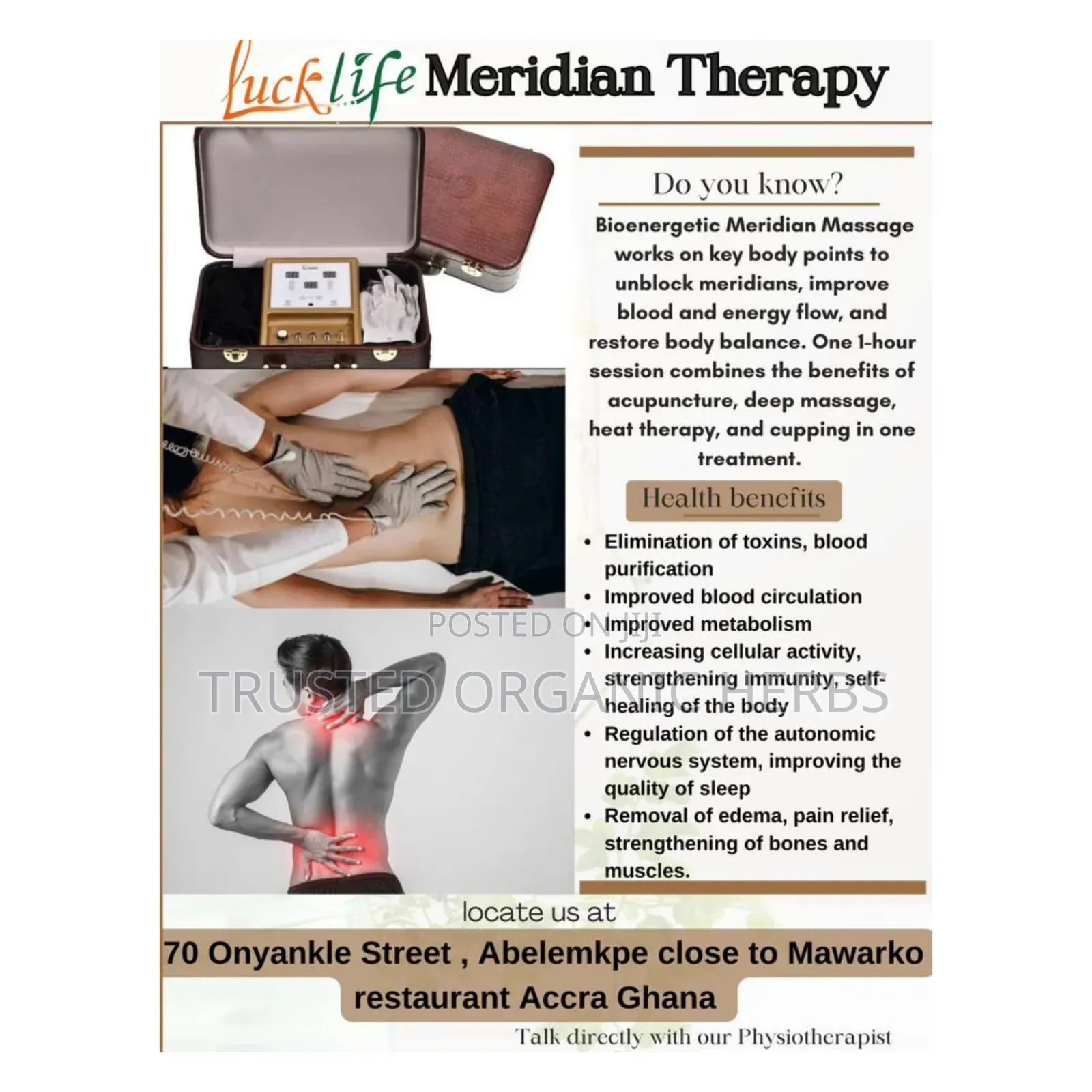 Quality Meridian Massage Machine