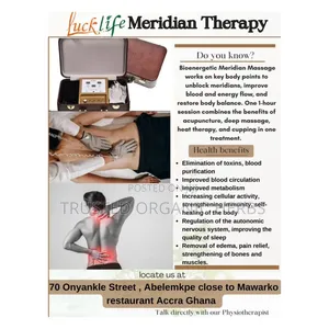 Quality Meridian Massage Machine