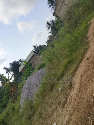 Half Plot of Land at Obakrowa (Ashalaja) for Sale