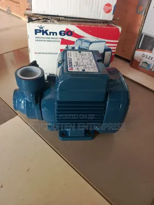 Pedrollo 0.5hp Water Pump