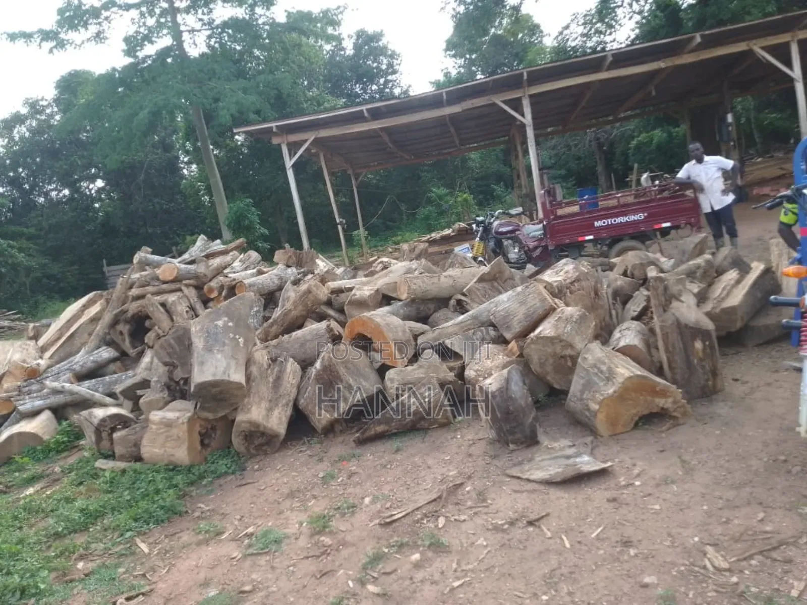 Firewood ( Cedriella ) for Sale