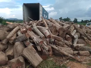 Firewood ( Cedriella ) for Sale