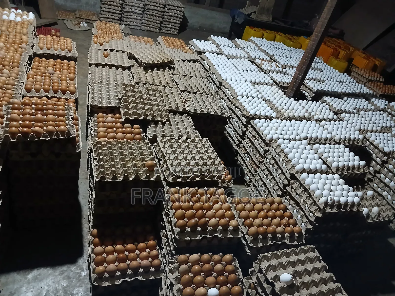Fresh Eggs Directly From the Farm for Sale.