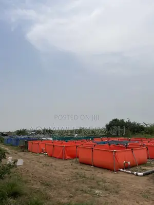 Start Your Fish Farming