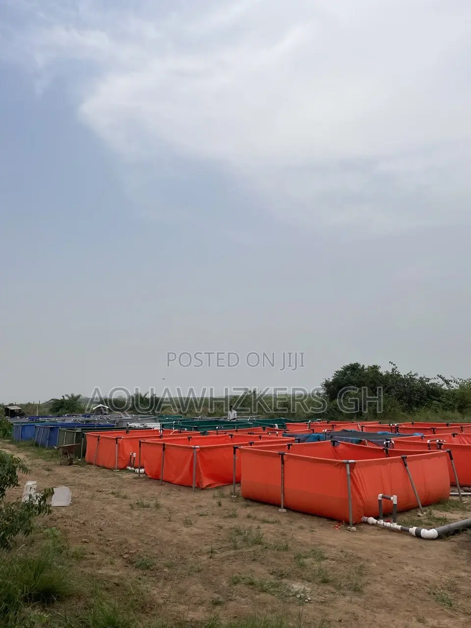 Start Your Fish Farming
