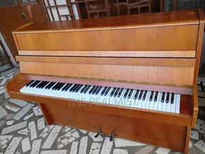 Bluthner Acoustic Piano(Brand New)