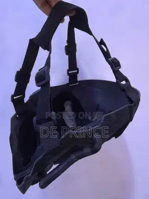 Ghost Rider Face Mask