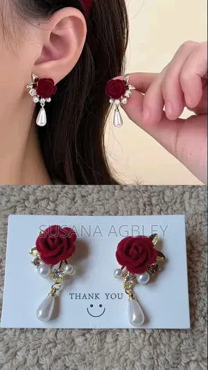 Classic Elegant Modern Style Earrings for Ladies – Luxury Fashion