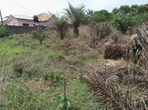 Plot of Land for Sale at Abuakwa Tabire