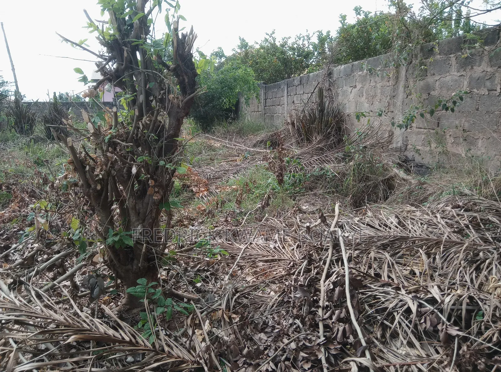 Plot of Land for Sale at Abuakwa Tabire