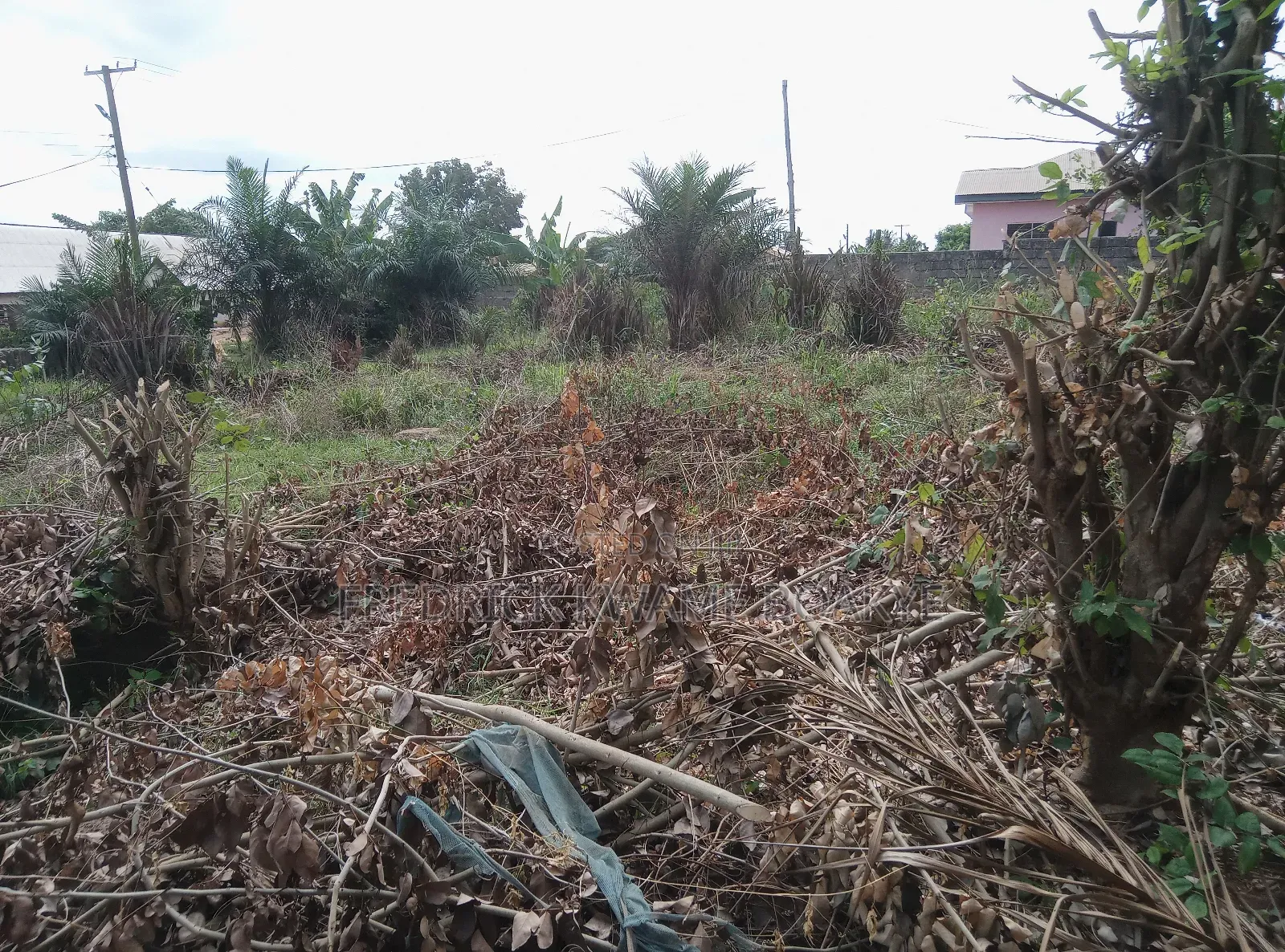 Plot of Land for Sale at Abuakwa Tabire